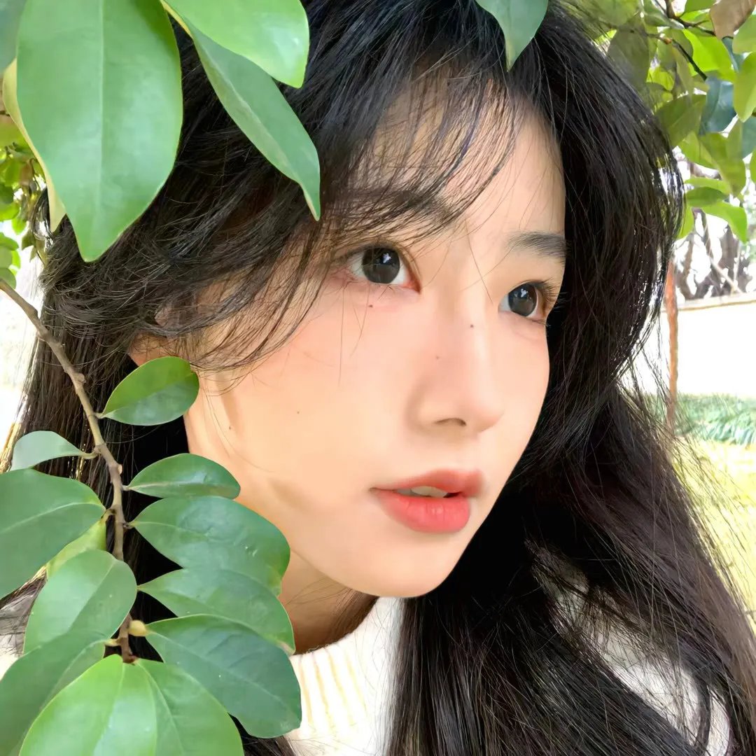 狂野的爱